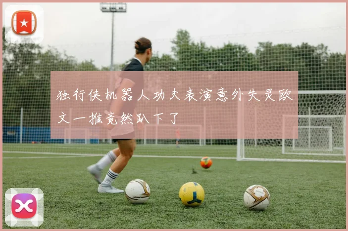 独行侠机器人功夫表演意外失灵欧文一推竟然趴下了
