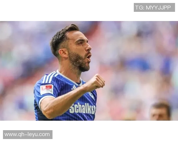 沙尔克04逆转绝杀帕德博恩成功反超升至德乙榜首准备冲击德甲 沙尔克04逆转绝杀帕德博恩成功反超升至德乙榜首准备冲击德甲